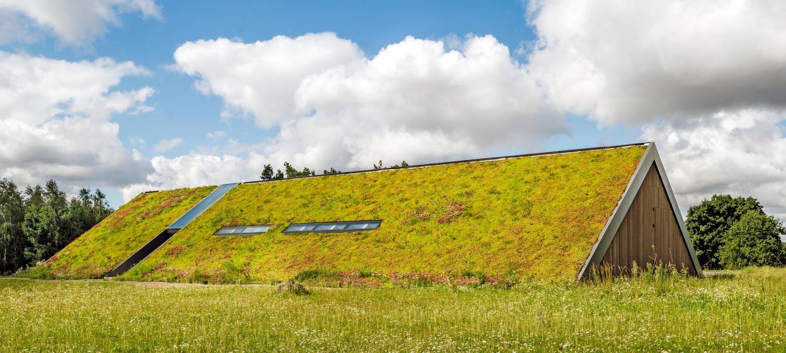 Pitched green roof